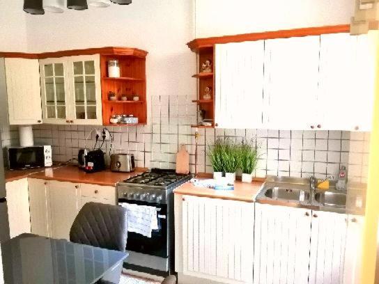 Free Garage Parking, Ac And Bikes In The Downtown Apartment Budapest Luaran gambar